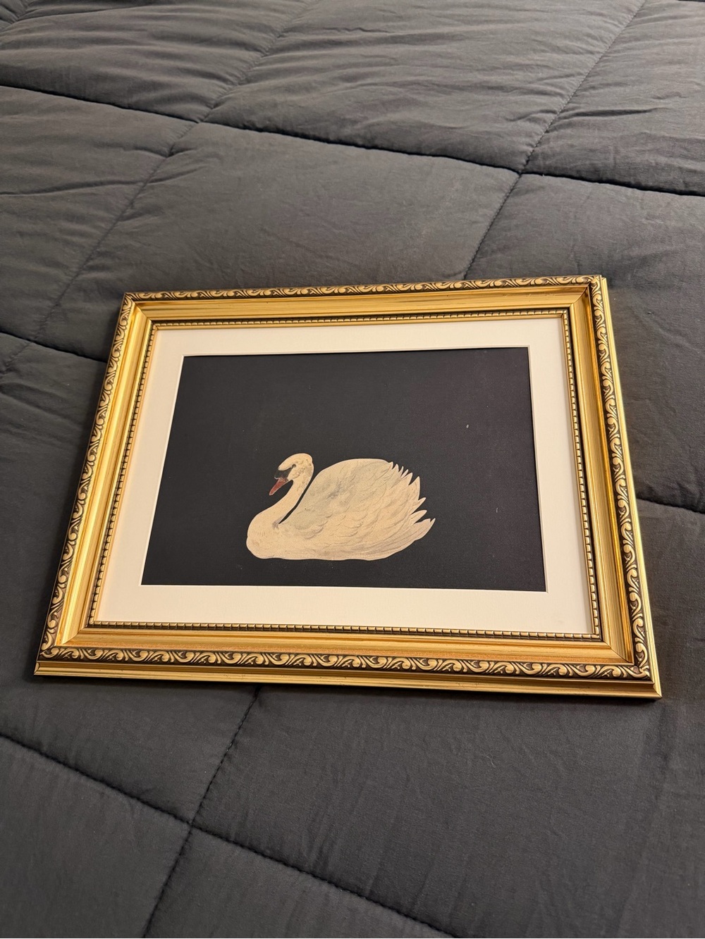 Gold Framed White Swan Wall Art